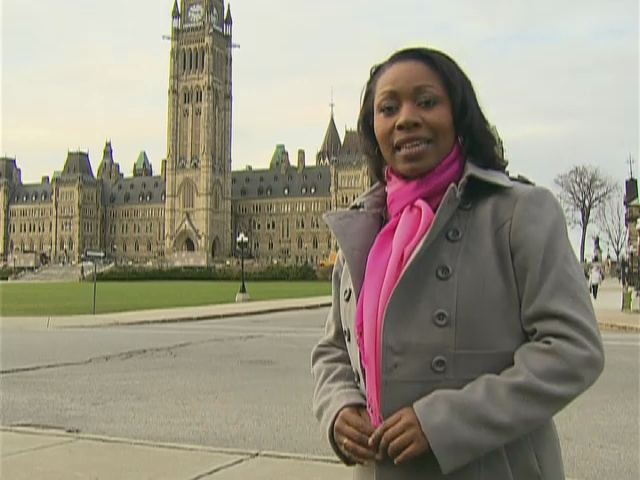 On the Bright Side : Flag Day