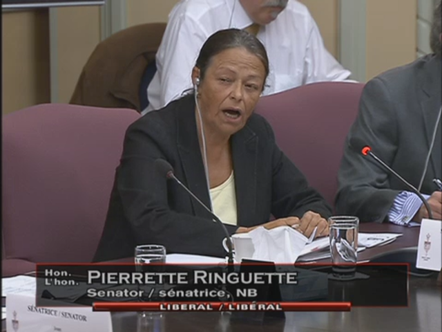 In Committee from the Senate of Canada : Legal and Constitutional Affairs - May 13, 2015