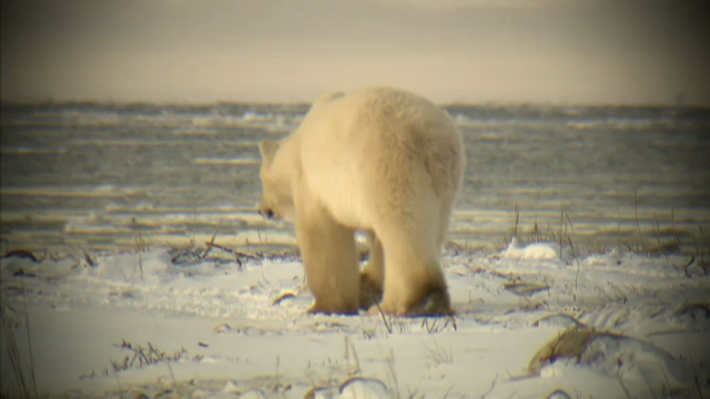 CPAC Special : G7 Summit Preview – Environment