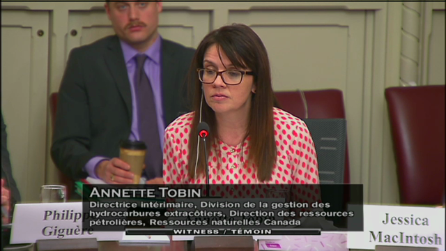 Budget Bill: the Carbon Tax in Newfoundland and Labrador | In Committee from the Senate of Canada | CPAC.ca