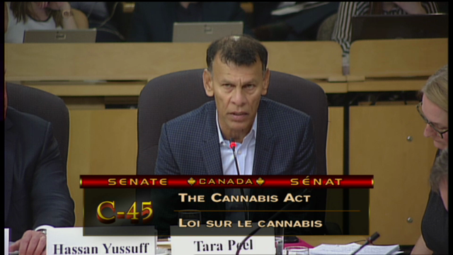 In Committee from the Senate of Canada : Cannabis Bill: Workplace Safety Issues