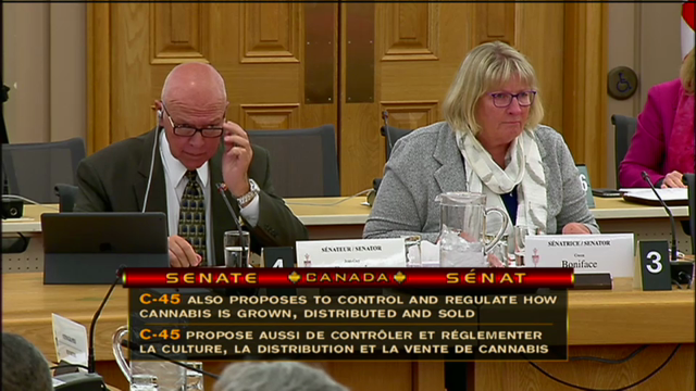 In Committee from the Senate of Canada : Cannabis Bill: National Security Committee Presents Its Report