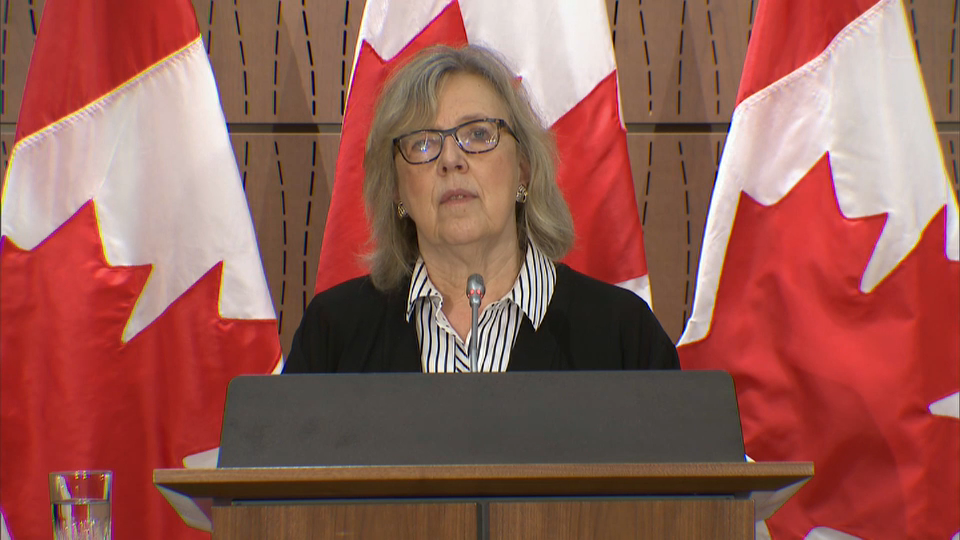 Headline Politics : Green Party Proposes Economic Recovery Plan – June 11, 2020