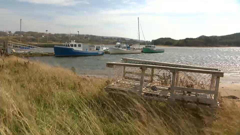 Ridings to Watch : Cape Breton-Canso