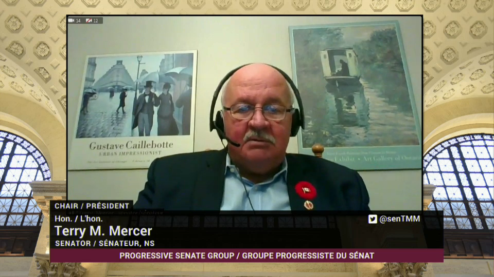 In Committee from the Senate of Canada : Committee Composition and a Possible Virtual Senate Chamber