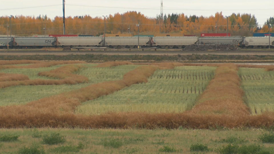 Ridings to Watch : Regina–Lewvan and Saskatoon West