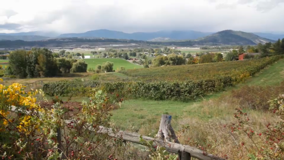 Kelowna–Lake Country | Ridings to Watch | CPAC.ca