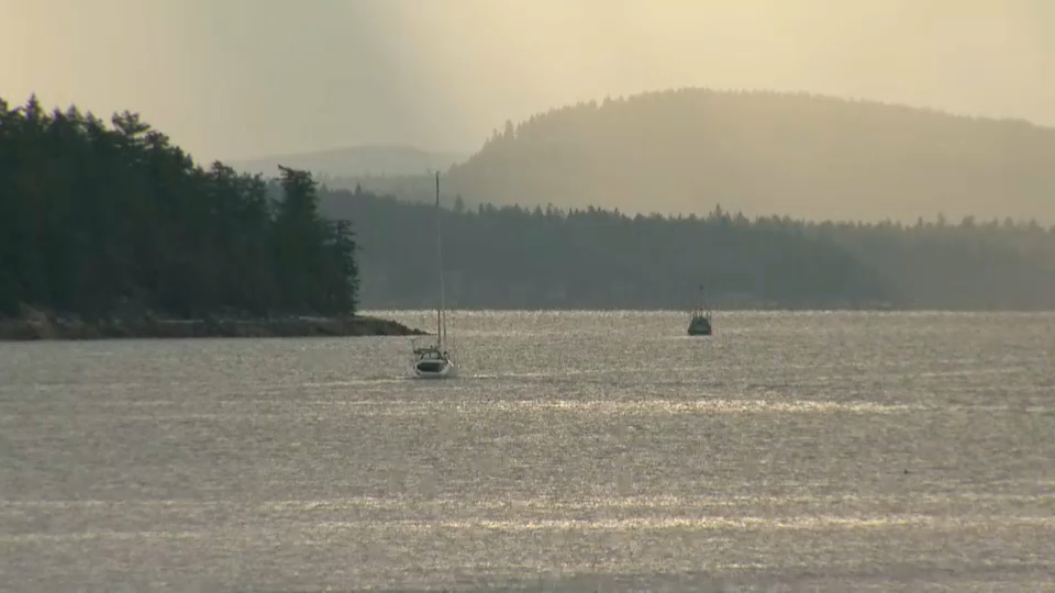 Vote 2019 Special : The Race in British Columbia