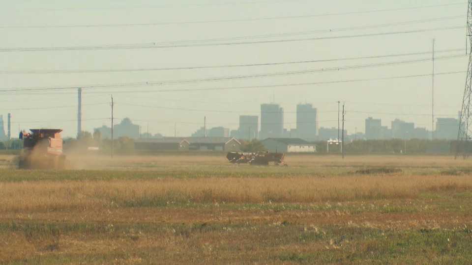 Vote 2019 Special : The Race in the Prairies