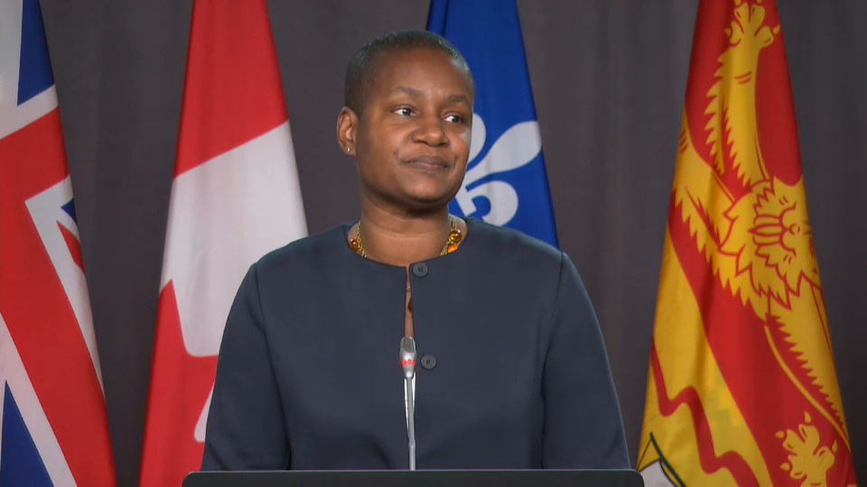 Headline Politics : Green Party Leader Discusses Govt's Net-Zero Emissions Plan – Nov. 19, 2020