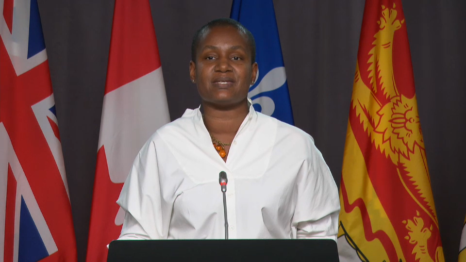 COVID-19: Canada Responds : Green Party Leader on Federal Response to COVID-19 – November 19, 2020