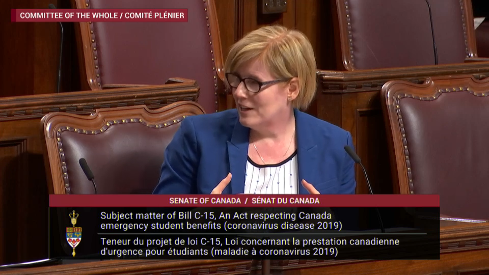 Senate Proceedings : Senate Convenes to Consider Student-Aid Legislation – May 1, 2020