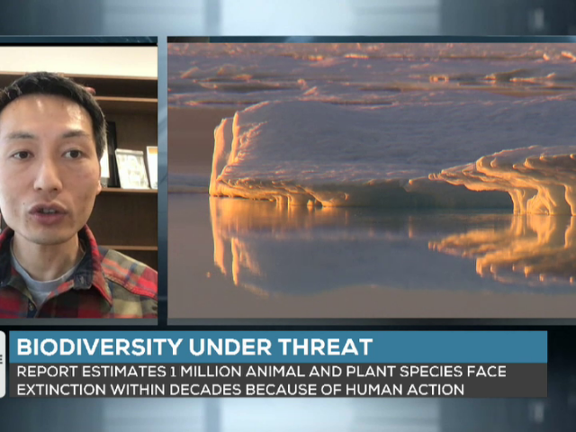PrimeTime Politics : UN Report Warns of Grim Future for Nature, Biodiversity -  May 6, 2019