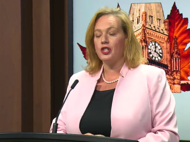 Ontario Cabinet Minister Lisa MacLeod on Border Crossings | Headline ...