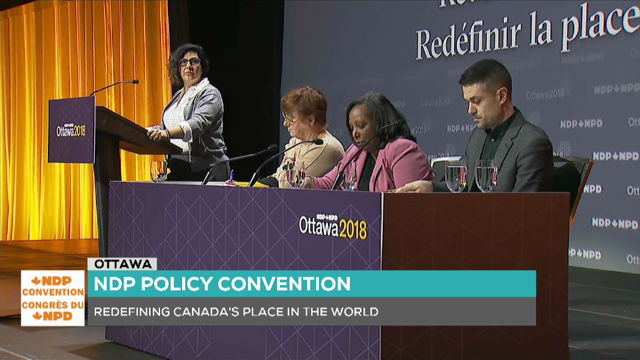 Émission spéciale : Congrès du NPD 2018 - Résolution israélo-palestinienne