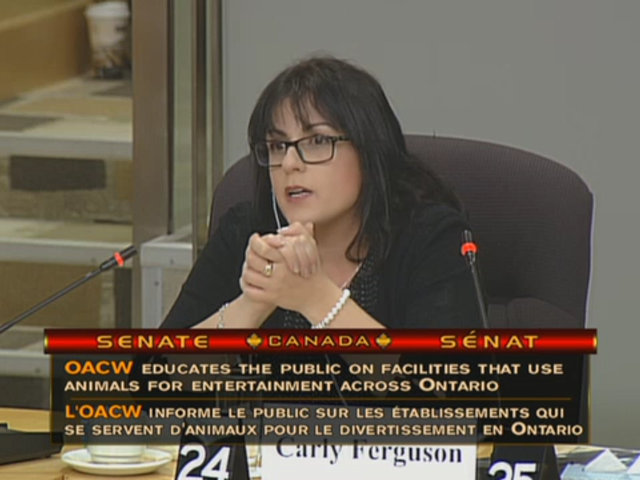 In Committee from the Senate of Canada : Fisheries and Oceans - April 11, 2017