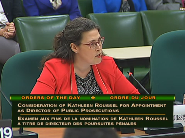 In Committee from the House of Commons : Justice and Human Rights - June 6, 2017