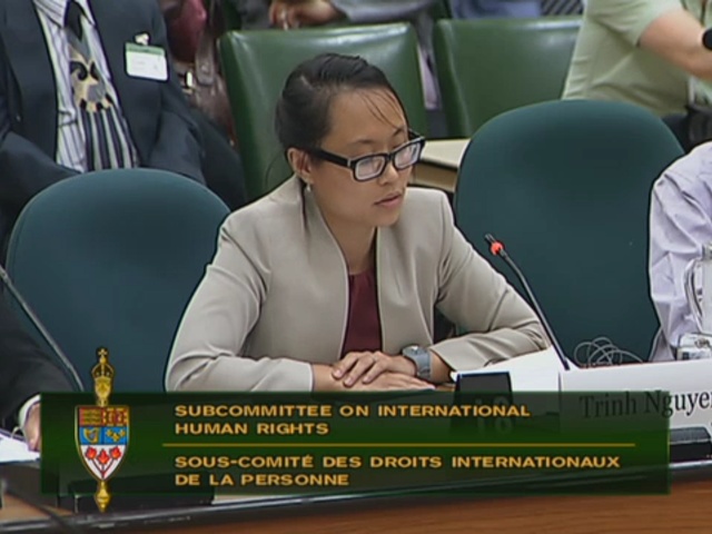 In Committee from the House of Commons : Subcommittee on International Human Rights - May 28, 2015