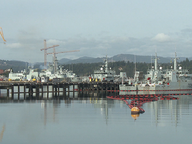 Campaign Politics : Vote 2015 – Esquimalt–Saanich–Sooke