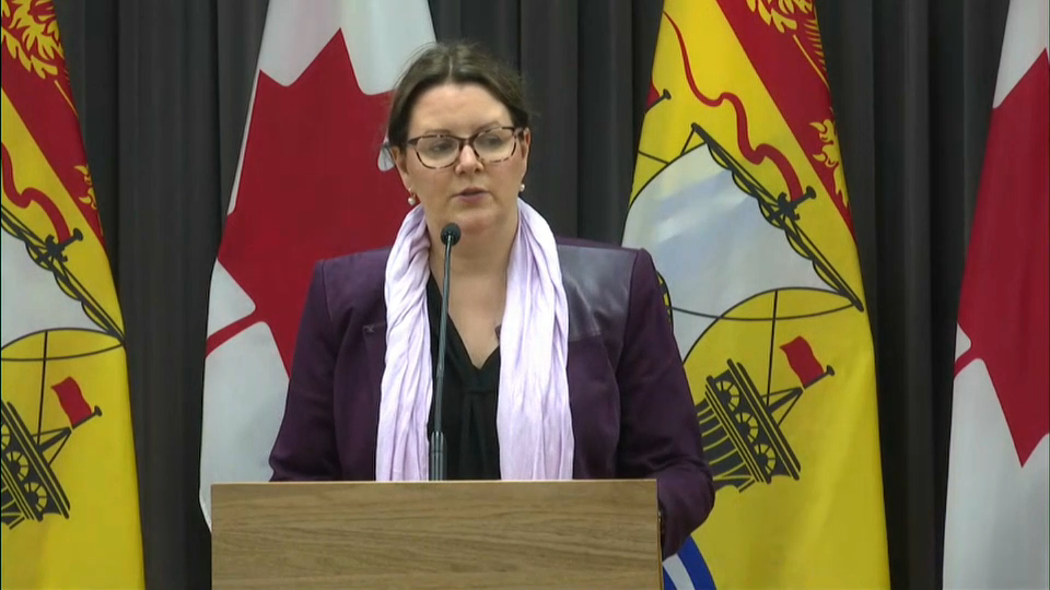 COVID-19: Canada Responds : COVID-19 in New Brunswick: 20 New Cases, Mandatory Masks in Schools