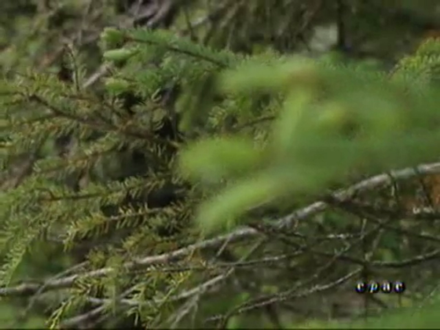 The Great Canadian Tour : Ontario