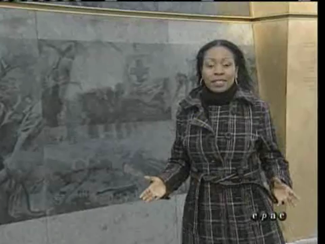 On the Bright Side : National Flg of Canada Day 2011