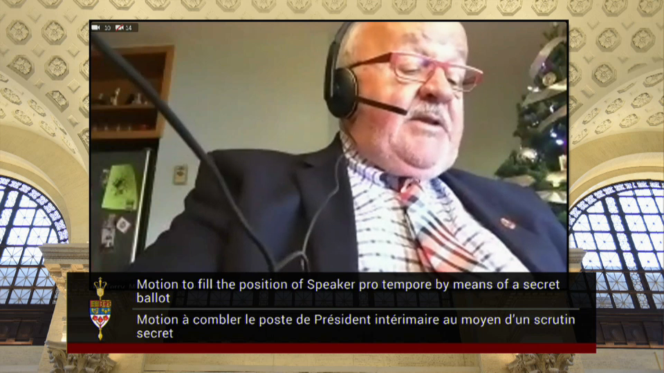 In Committee from the Senate of Canada : Debate on the Senate Speaker Pro Tempore Position