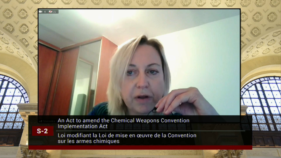 In Committee from the Senate of Canada : Chemical Weapons Convention Bill: Clause-by-Clause Consideration