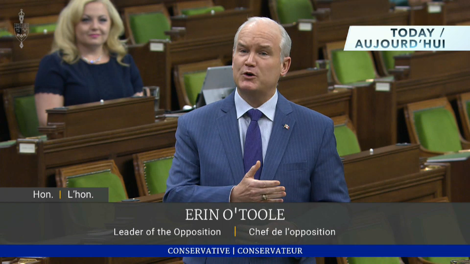 Today - Aujourd'hui : CERB Fraud and Access to Dental Care – May 4, 2021