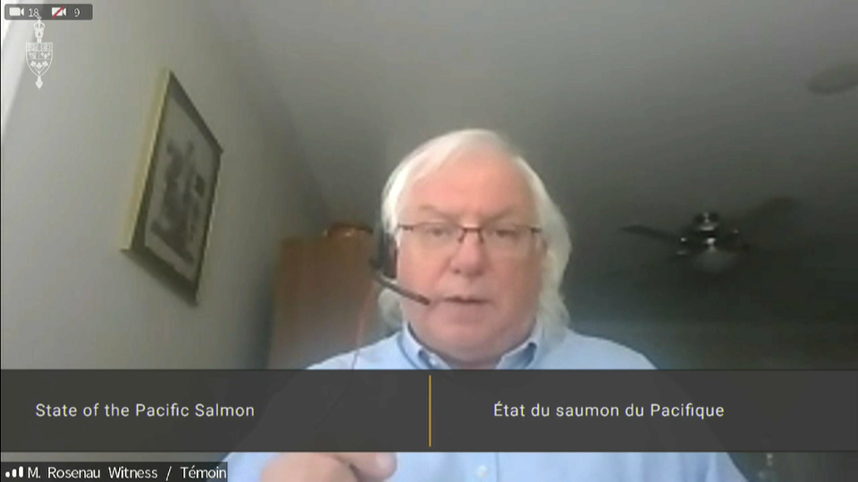 In Committee from the House of Commons : Committee Continues Study On The State Of The Pacific Salmon –  March 24, 2021