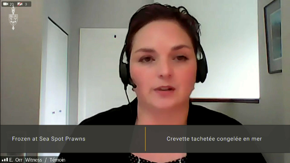 In Committee from the House of Commons : Fishery Representatives Debate Frozen-at-Sea Prawns