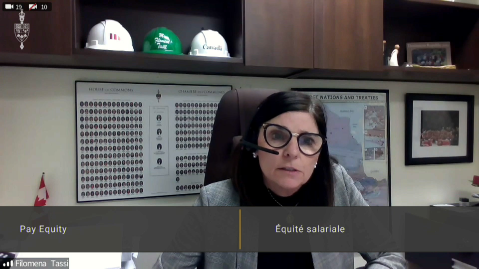 In Committee from the House of Commons : Labour Minister Tassi on the Issue of Pay Equity