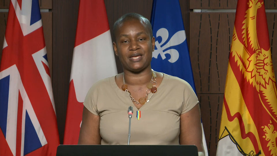 COVID-19: Canada Responds : Green Party Leader on the CERB and CESB Pandemic Benefits