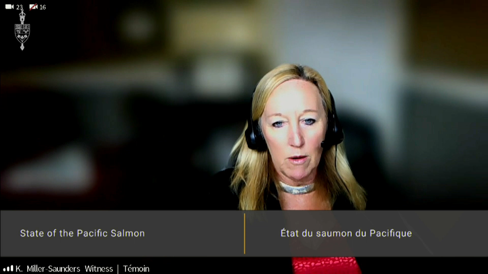 In Committee from the House of Commons : Continued Study of the State of the Pacific Salmon – April 26, 2021