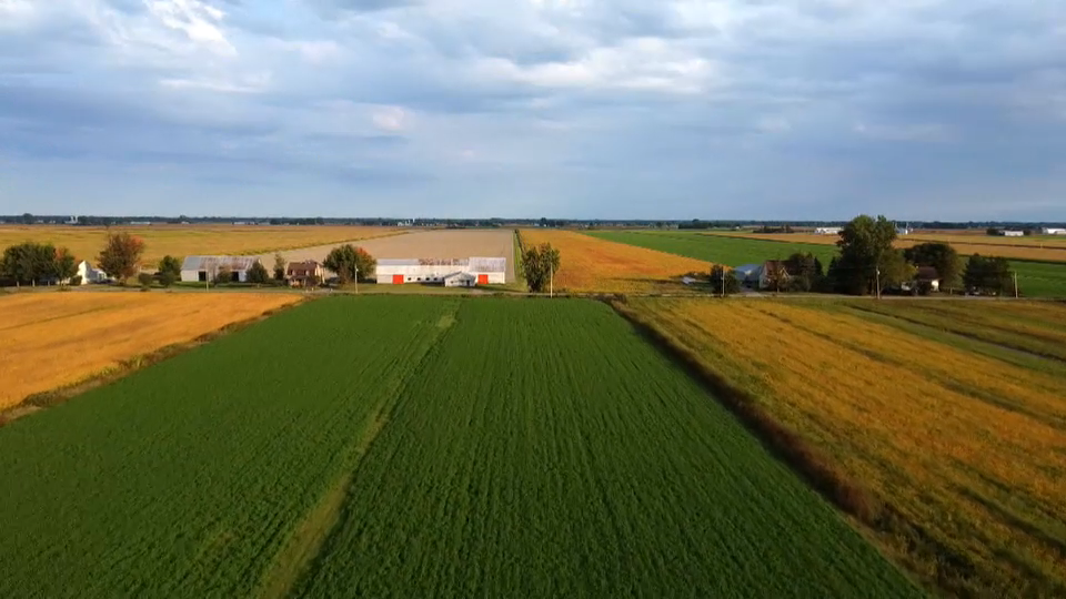 Campaign Politics : Vote 2021 – Berthier—Maskinongé