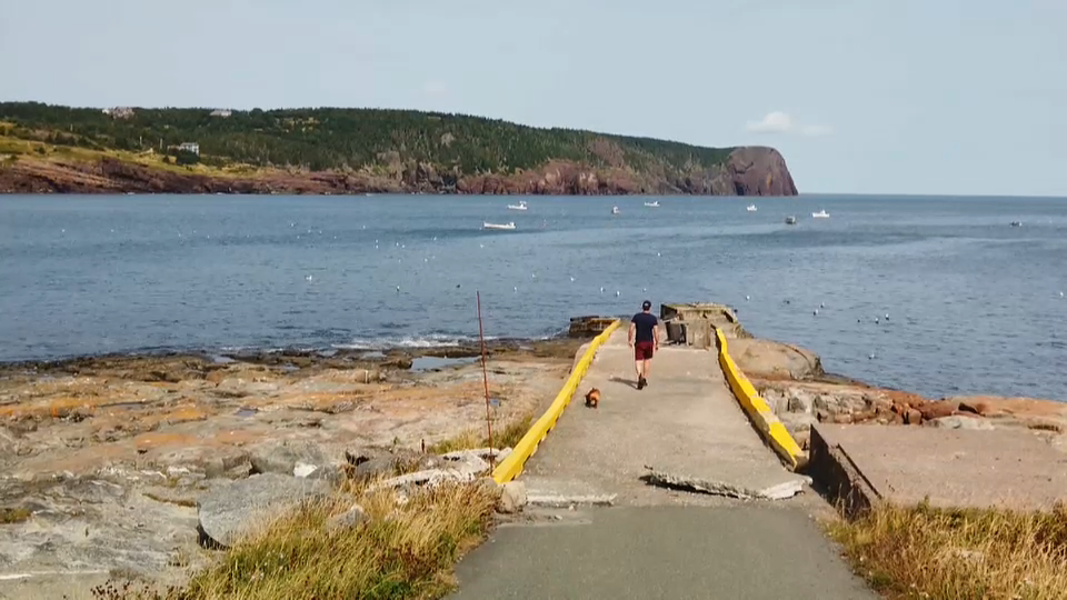 Vote 2021 : The Race in Atlantic Canada