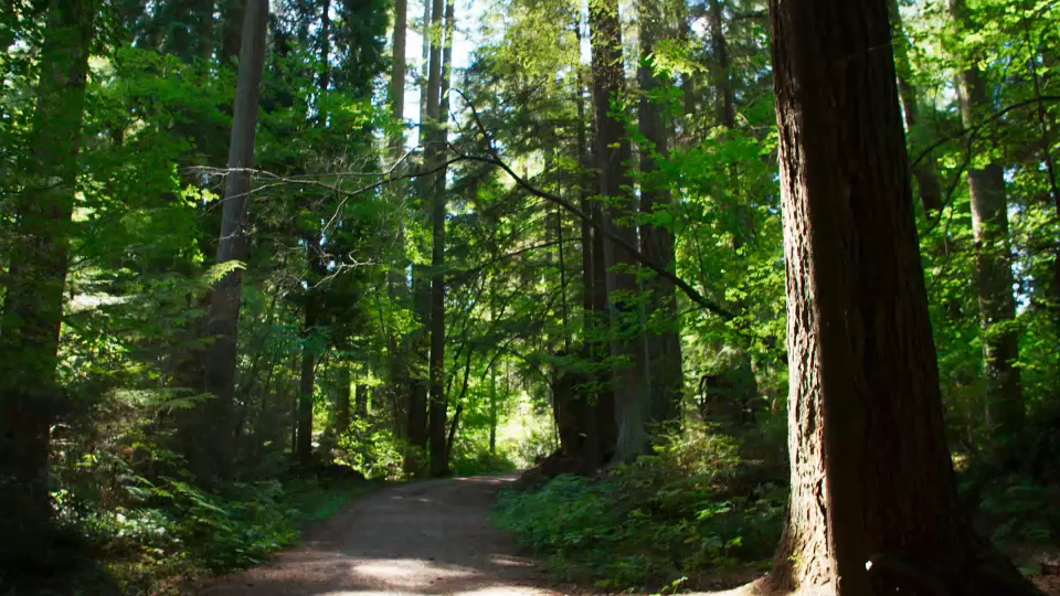 CPAC Documentaries : Seeing Canada: Stanley Park and the Surrey Spice Trail in B.C. (English DV)