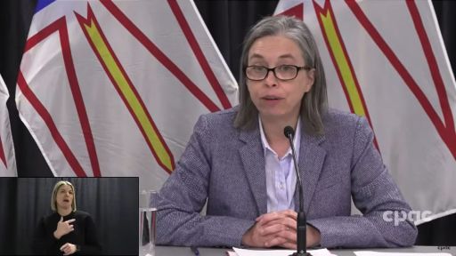 COVID-19: Canada Responds : N.L.’s Top Doctor Discusses New COVID-19 Testing Initiative – November 15, 2022