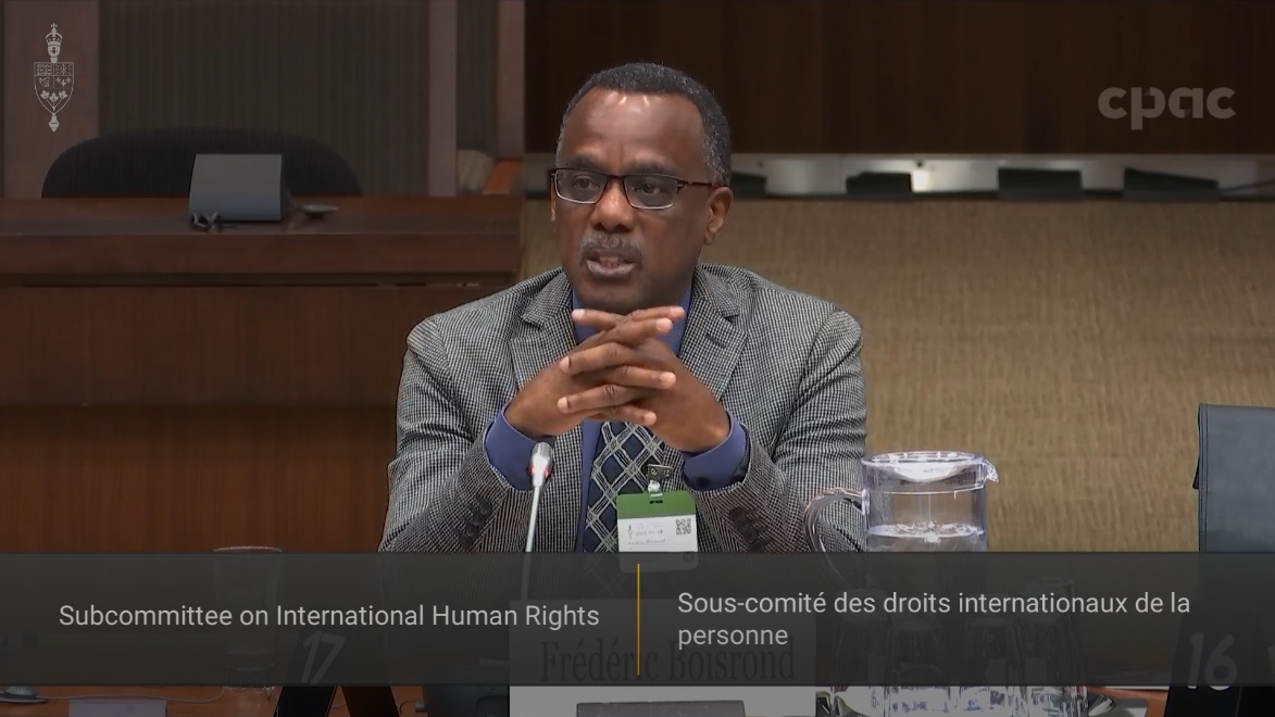In Committee from the House of Commons : International Human Rights - November 18, 2022