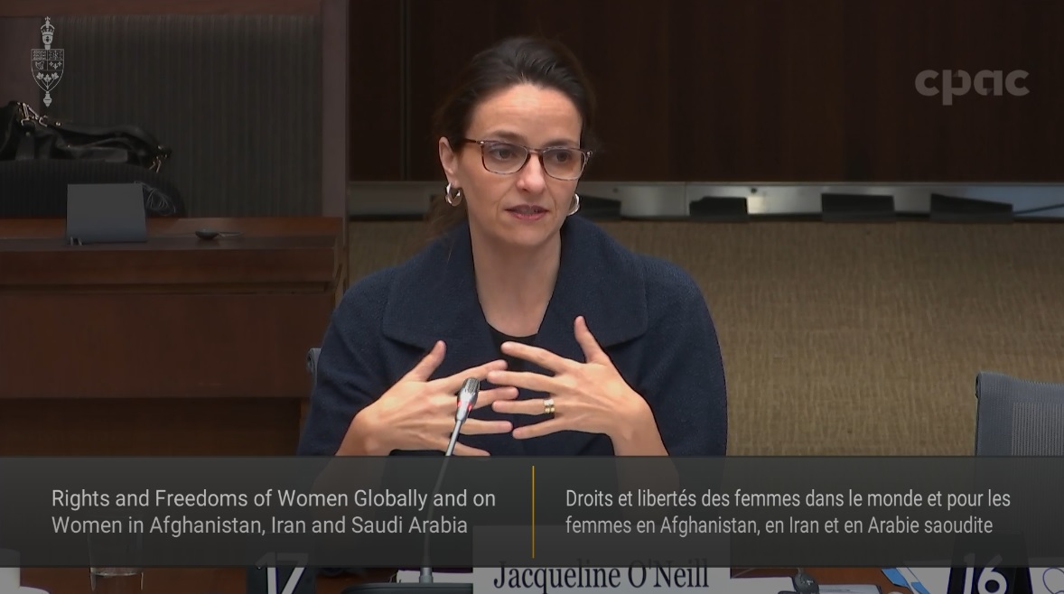 In Committee from the House of Commons : International Human Rights - November 25, 2022