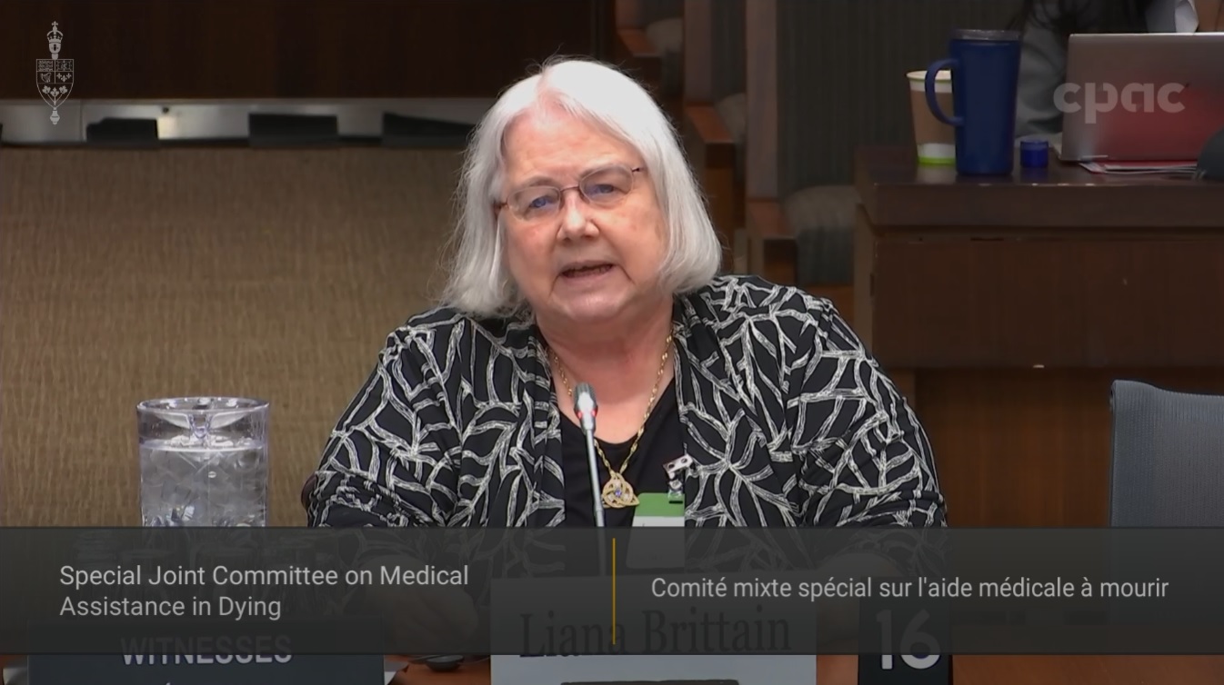 Les comités du Sénat : Comité mixte spécial sur l'aide médicale à mourir - 22 novembre 2022