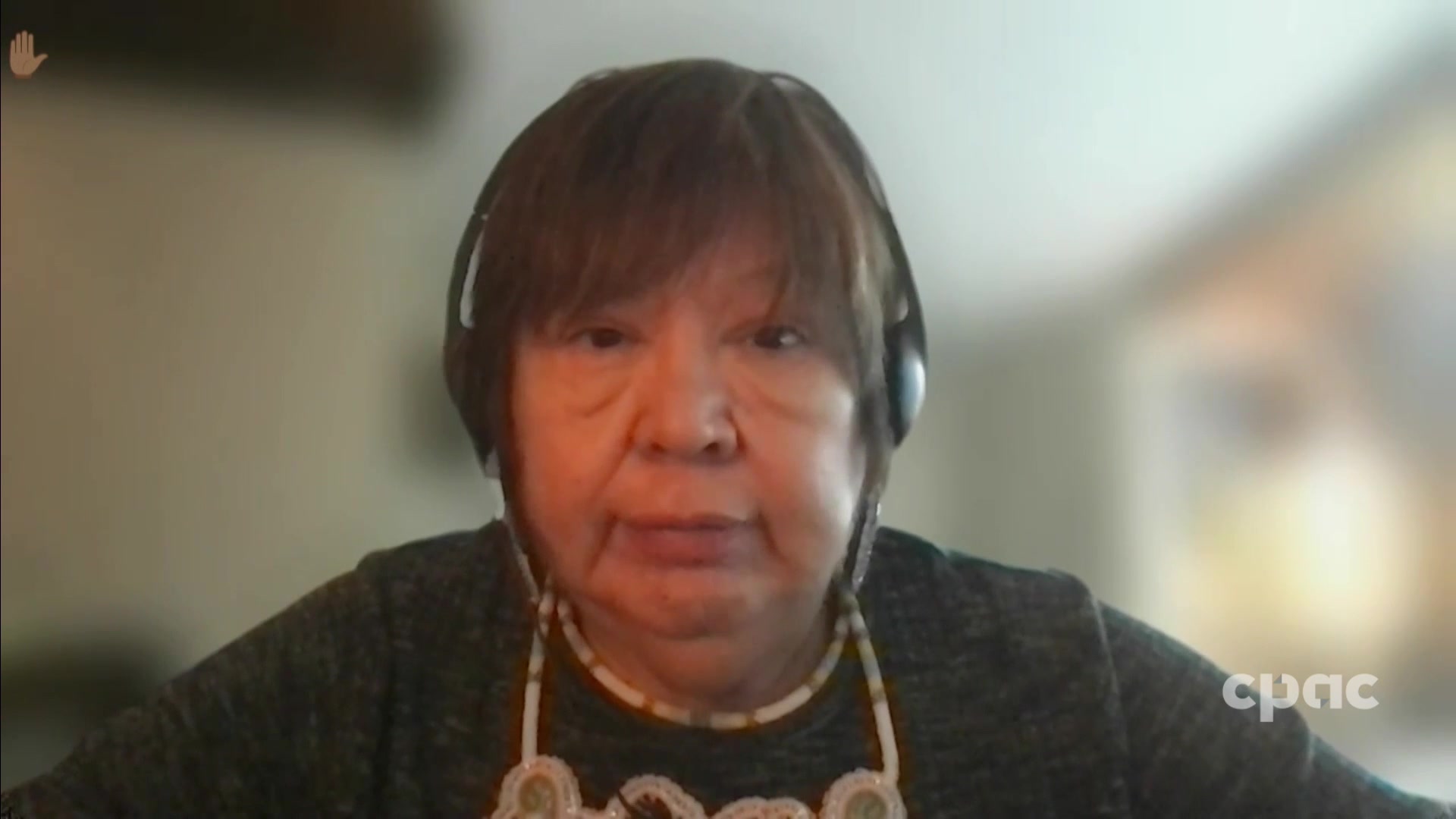 Inquiries on CPAC : Public Order Emergency Commission – December 1, 2022 (Panel 2 of 2)