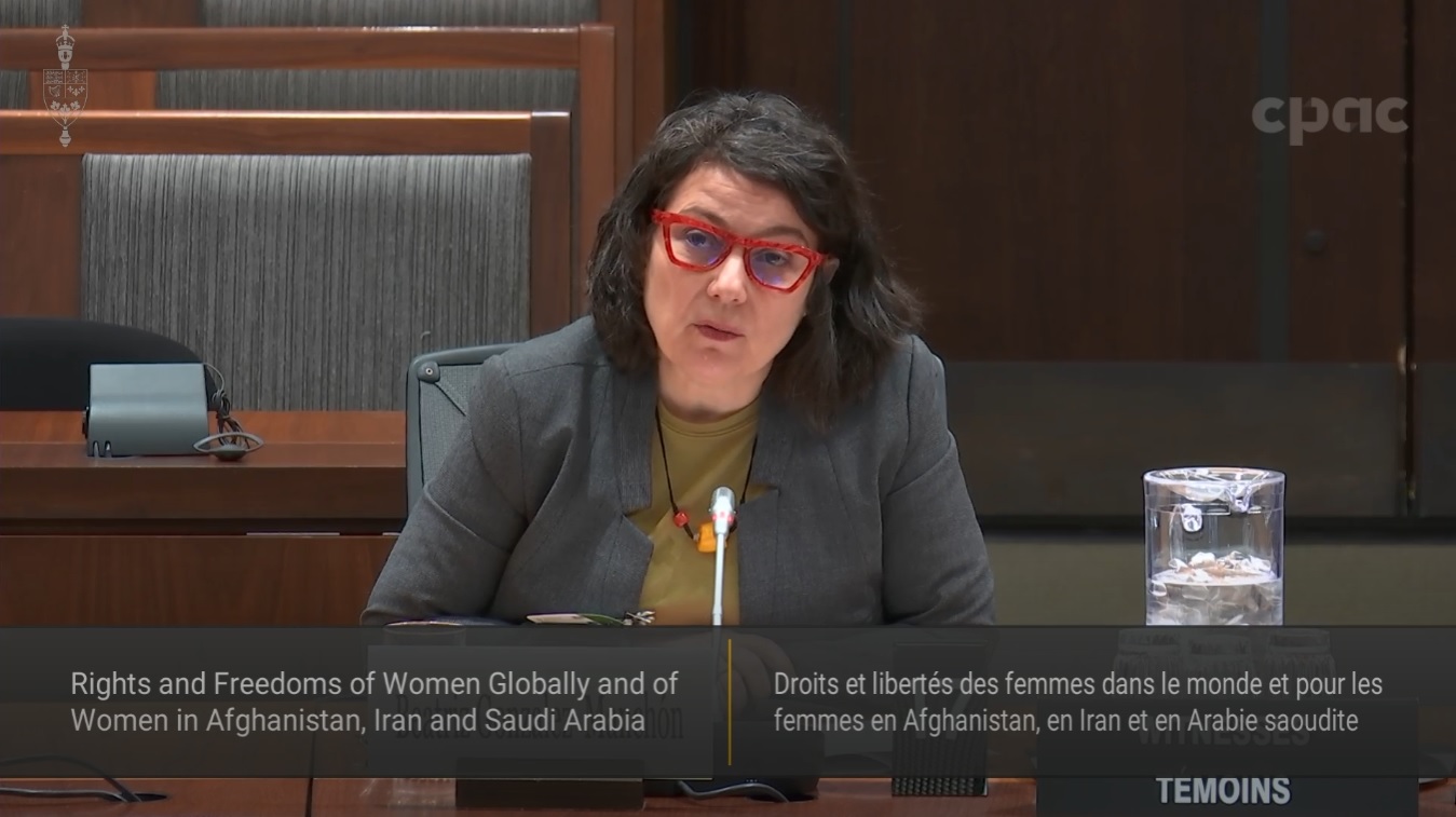 In Committee from the House of Commons : International Human Rights - March 10, 2023