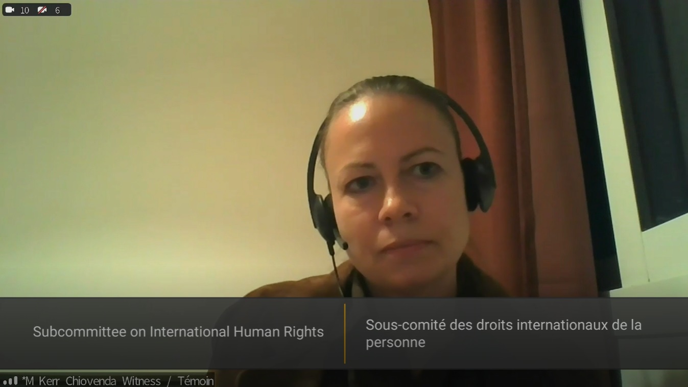 In Committee from the House of Commons : International Human Rights - June 16, 2023