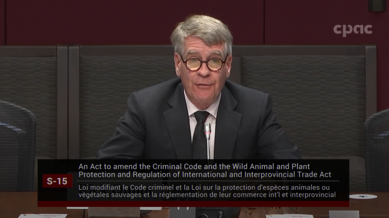 Legal and Constitutional Affairs – May 2, 2024 - In Committee from the ...