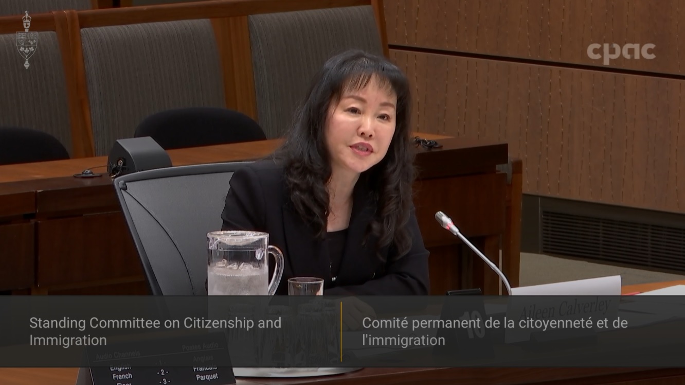 In Committee from the House of Commons : Citizenship and Immigration – June 3, 2024