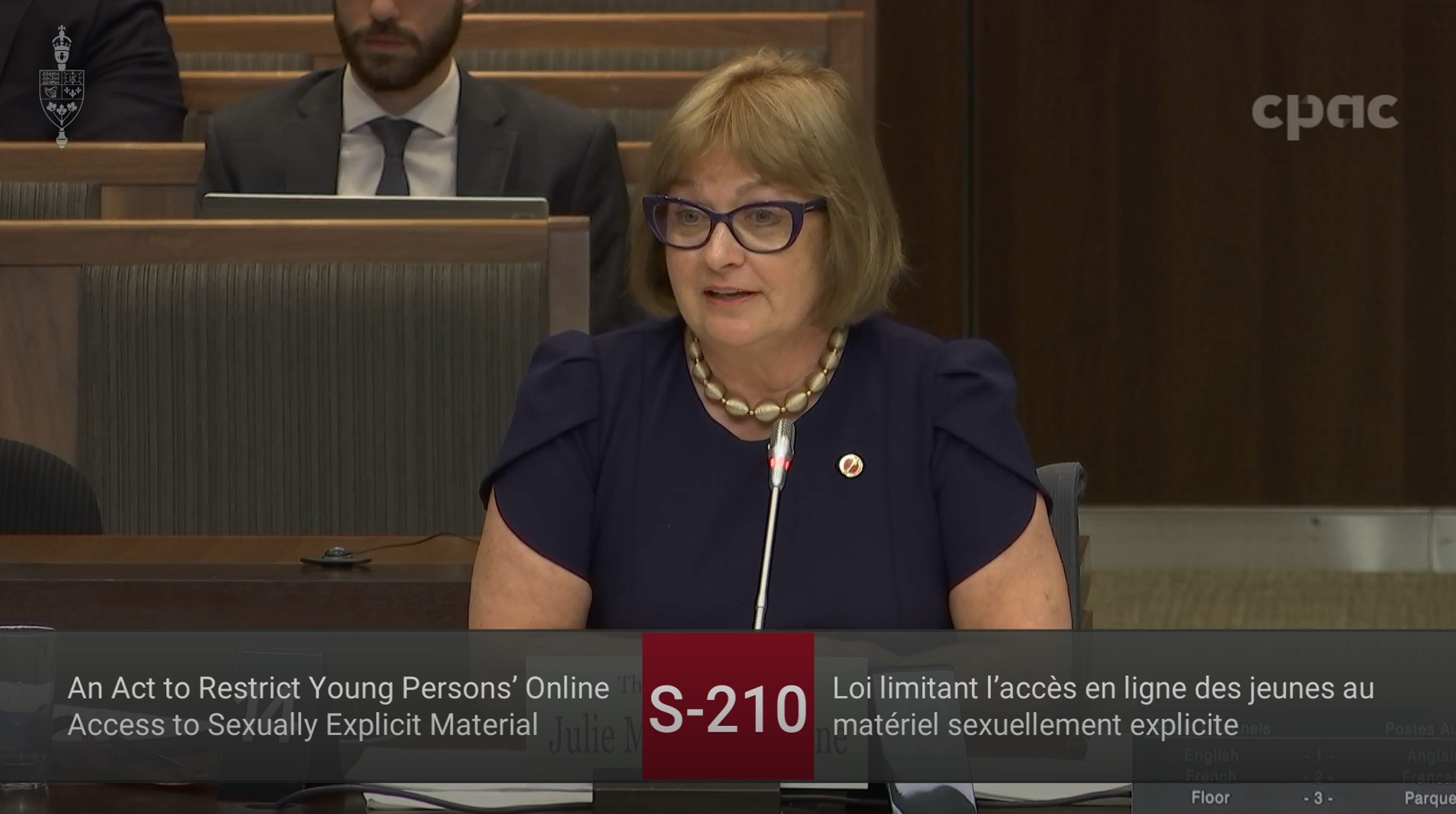 In Committee from the House of Commons : Public Safety and National Security – May 27, 2024