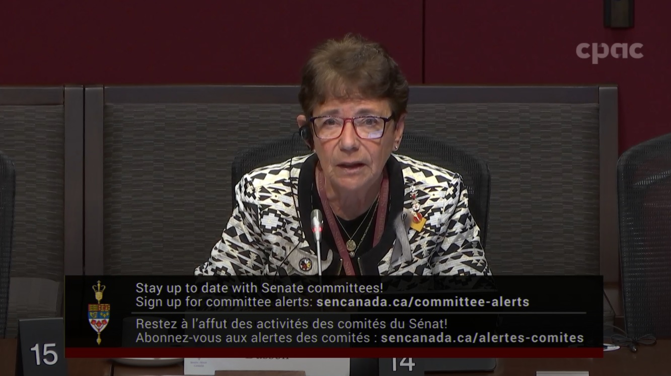 In Committee from the Senate of Canada : Rules, Procedures and the Rights of Parliament – May 28, 2024