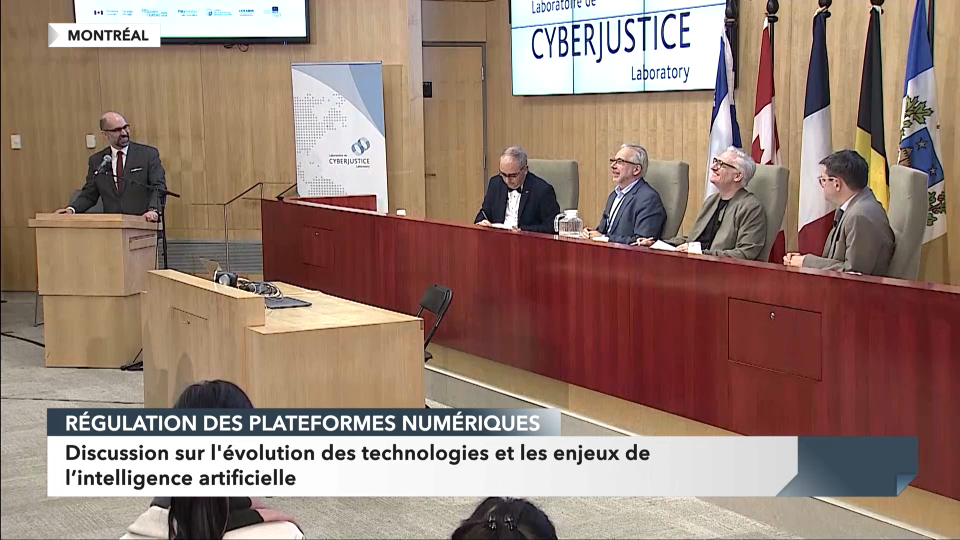 Public Record : Cultural Sovereignty and Digital Giants: The Role of the State