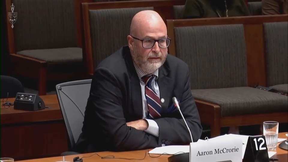 In Committee from the House of Commons : Public Safety: CSIS, CBSA & RCMP Officials on Foiled Terrorist Plot